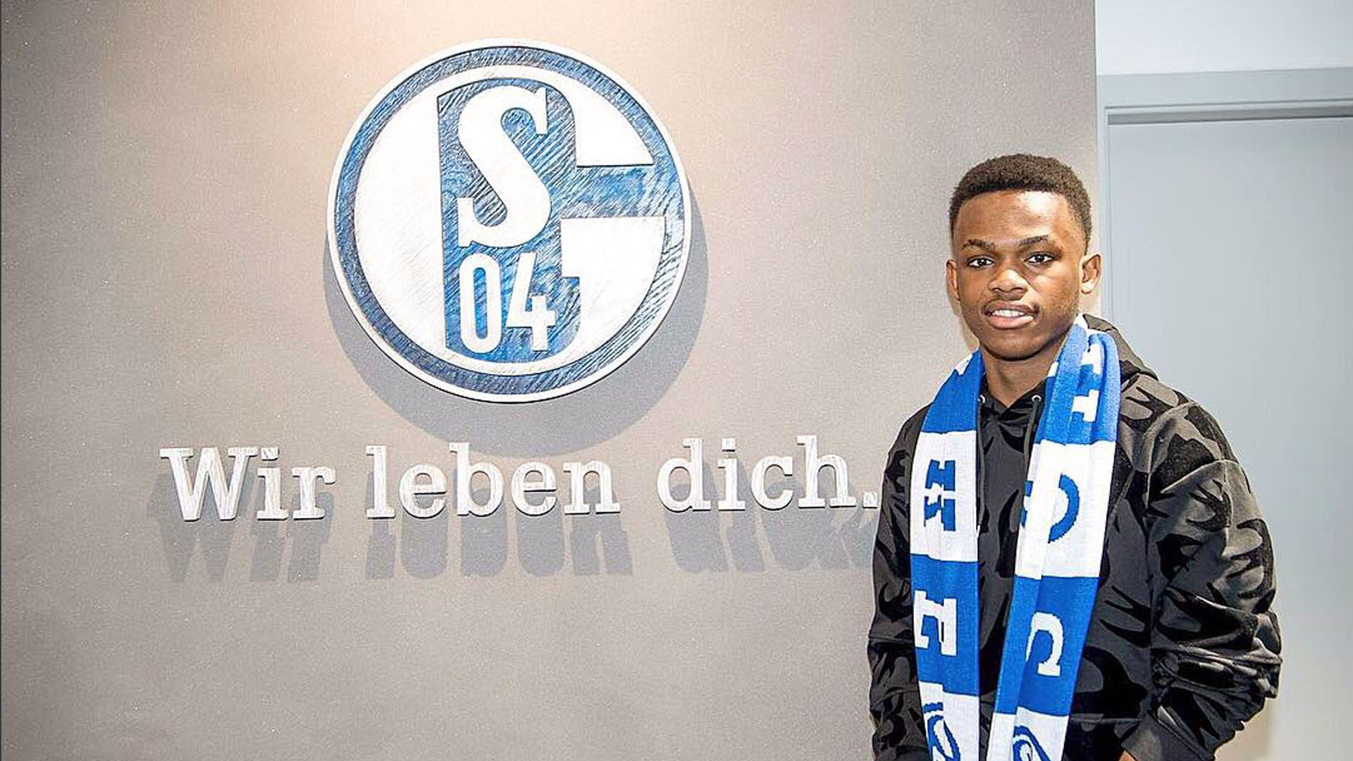 他们将不再 他们将不再