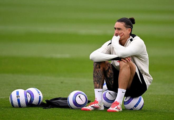 球迷们带来 球迷们带来